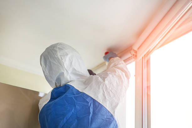 James Island, SC Mold Removal & Remediation Company